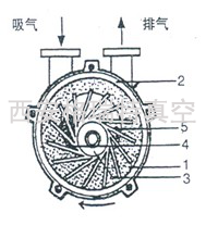 陜西真空泵
